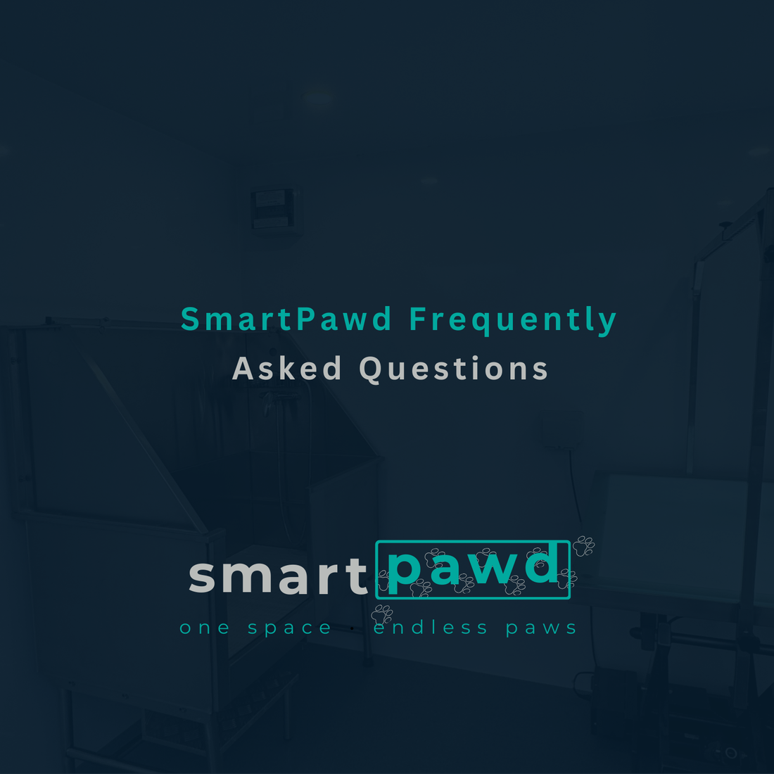 Frequently Asked Questions